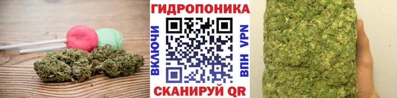 KRAKEN tor  купить наркотики цена  Курильск  shop как зайти  Еда ТГК конопля 