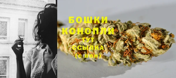 сатива Белокуриха
