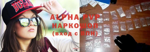 сатива Белокуриха